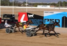 Fitzgerald family take flight at Port Pirie