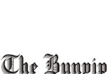 Eagle talons too sharp for young Lions