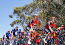 Council declines Tour Down Under bid