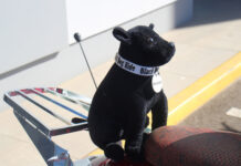 Registrations open for 2025 Black Dog ride