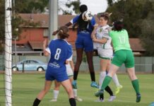 Cup task proves too tall for Grove