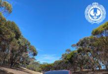 Teens ditch stolen Mustang after getting stuck on O-Bahn track
