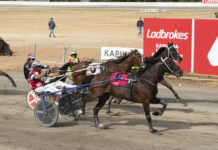 Rakero Blaze of glory