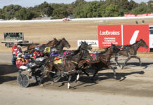 Honeybun gets it done