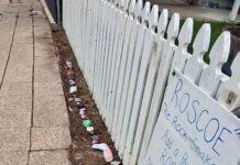 Roscoe slithers to Freeling