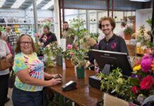 New life for Vadoulis