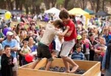 Stomping through the Barossa