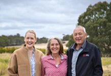 Barossa Vintage Festival picnic socials