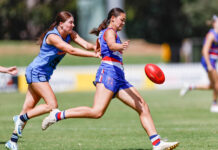Five Doggies earn state under 18 call-ups