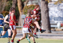 Dominant Donnybrooks now alone atop reserves