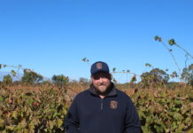 The Next Crop part of growing coverage