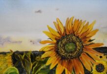 SALA opportunity for northern artists