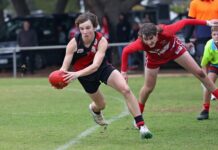 Final unbeaten team falls as Tiger cubs upset Owls