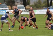 14 Panthers hit the scoreboard in 100-point flogging