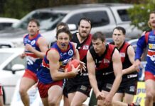 McDonald brothers join forces in Bulldogs bombardment