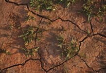 Proposed drought bill to bring relief for farmers