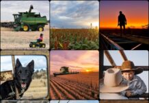 Photo competition returns to capture spirit of the bush