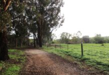 State government assures biodiversity will be protected in Concordia