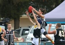 Tamas and the Owls too strong, Russell returns for Roosters