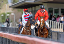 Hill-Smith dynasty unearths another winner