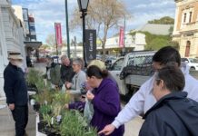 Final Gawler plant giveaway