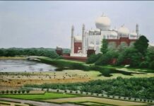 Mady Lewis paints the world for SALA