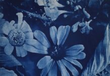 New exhibition bathed in blue