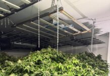 Drugs found at Lewiston