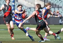 Bulldogs lose back-and-forth grand final at Adelaide Oval