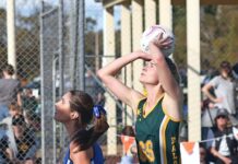 Eagles overcome league medallist to reach APNA decider