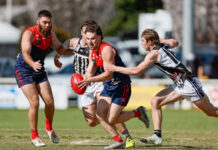 Donnybrooks deliver in do-or-die preliminary final