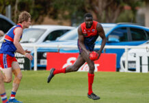 Donnybrook reserves return to BLG’s biggest stage