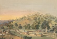 ‘Visioning’ comes to Barossa Gallery