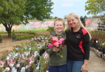 Flowers bloom on family tree