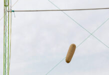 Showtime at Kapunda once again