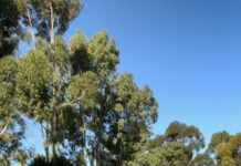 Kapunda ready for take off