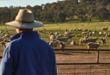 Weather it Together campaign launches