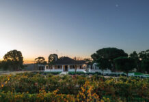 Wonderground Barossa named among SA’s best wine tourism spots