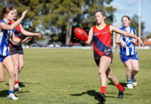 Women’s footy trailblazer honoured as SANFL salutes volunteers