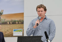 Pinery fire reflections a decade on