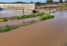 Gawler river flood management