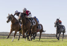 Gawler training family brings up 100th win
