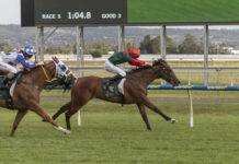 Bain and Taylor win another at Morphettville