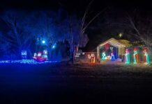 The Bunyip’s Christmas light guide