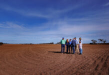 Year in Review: Albo about for the drought