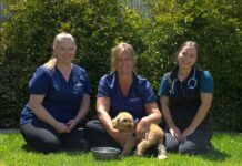 Gawler vets sound heat warning