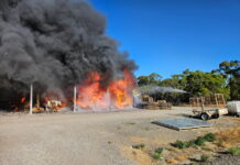 Hens spared in Barossa shed fire