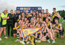 Year in Review: Tiger Time