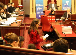 Young voices wanted for Youth Parliament