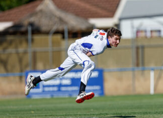 Lions and Donnybrooks set for under 16 decider